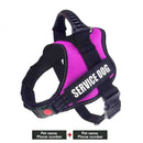 Customizable Name K9 Dog Harness