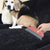 Pet Hair Remover Carpets Brush