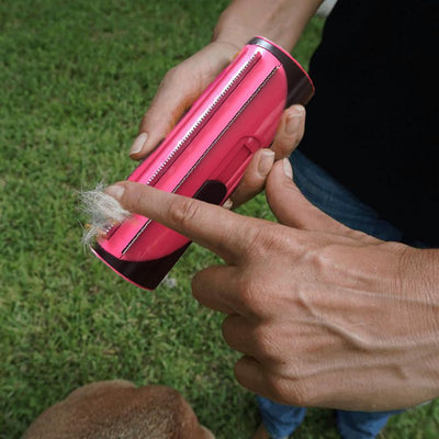 Dog Sofa Carpet Cleaner Brush