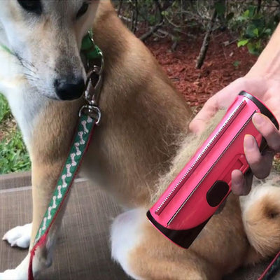 Dog Sofa Carpet Cleaner Brush