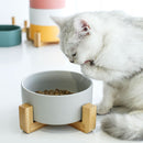 Ceramic Pet Feeding Bowl