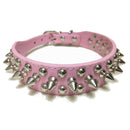 PU Leather Punk Rivet Spiked Dog Collar