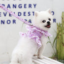 Dog Leash Stereo Pink Flower Harness