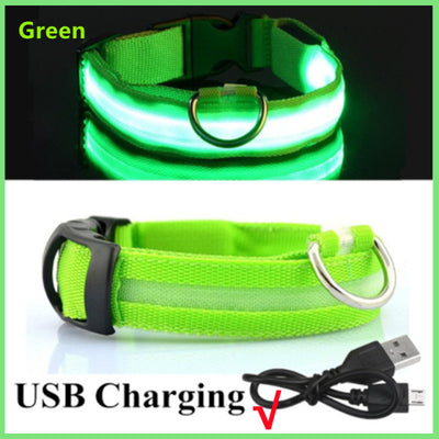 Usb Charging Led Dog Luminous Collars