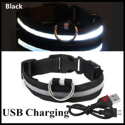 Usb Charging Led Dog Luminous Collars