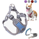 Luminous Adjustable Collar Leash Dog Harness