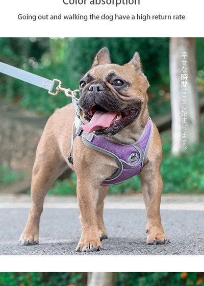 Luminous Adjustable Collar Leash Dog Harness