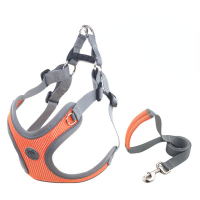 Luminous Adjustable Collar Leash Dog Harness