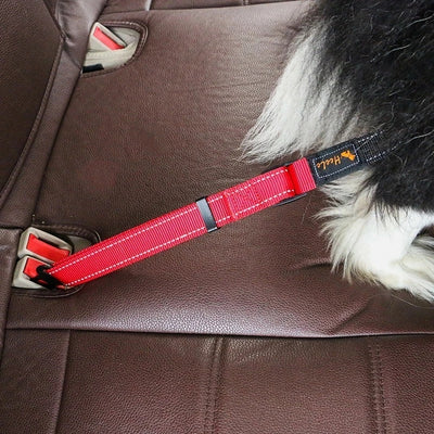 Premium Durable Dog Leash Car Seat Belt